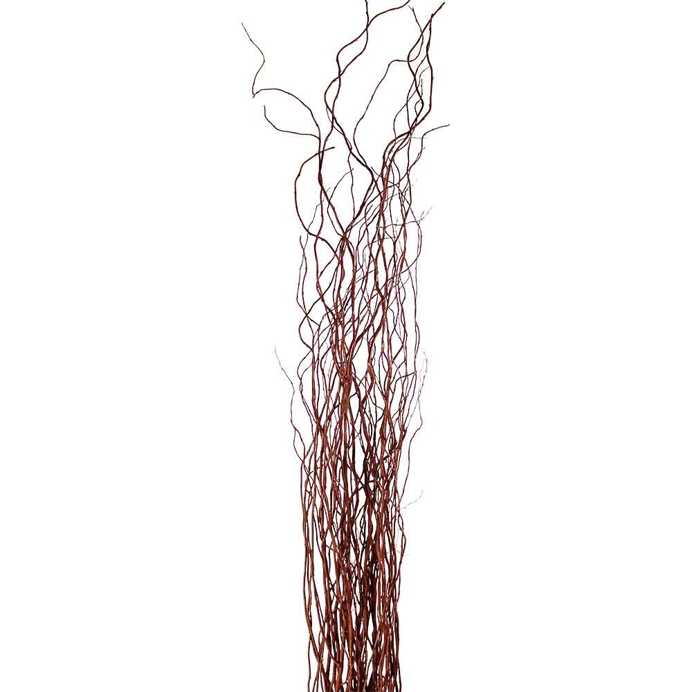Curly Willow Branches