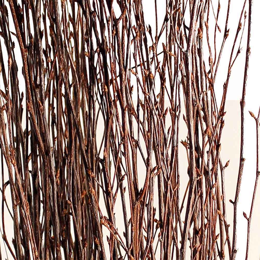 50 psc. Birch Twigs – 100% Natural Decorative Birch Branches for Vases,  Centerpi